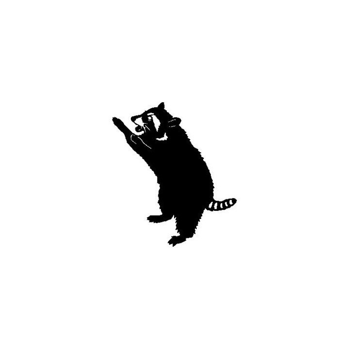 Raccoon Coon Vinyl Decal Sticker V17 - DecalsHouse