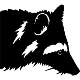 Raccoon Coon Vinyl Decal Sticker V22 - DecalsHouse