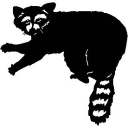 Raccoon Coon Vinyl Decal Sticker V23 - DecalsHouse