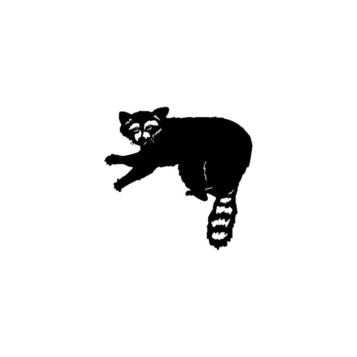 Raccoon Coon Vinyl Decal Sticker V23 - DecalsHouse