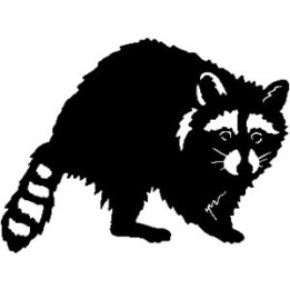 Raccoon Coon Vinyl Decal Sticker V24 - DecalsHouse