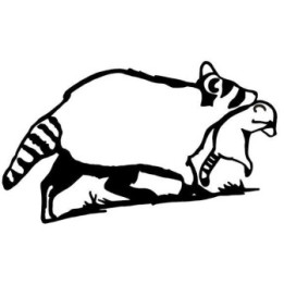 Raccoon Coon Vinyl Decal Sticker V25 - DecalsHouse