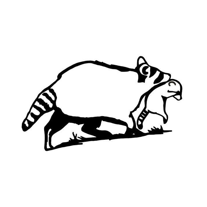 Raccoon Coon Vinyl Decal Sticker V25 - DecalsHouse