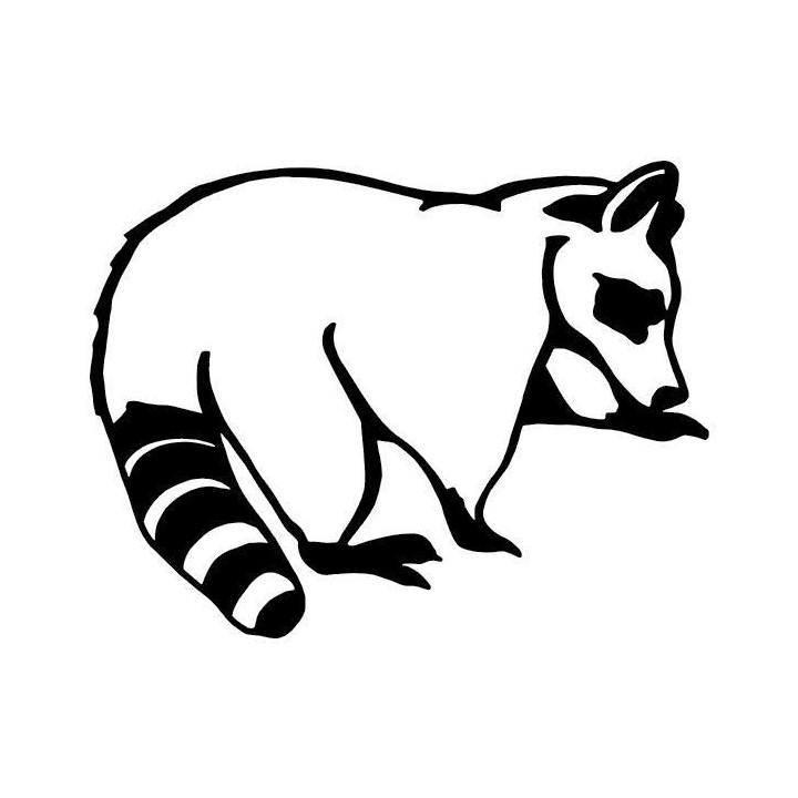 Raccoon Coon Vinyl Decal Sticker V26 - DecalsHouse
