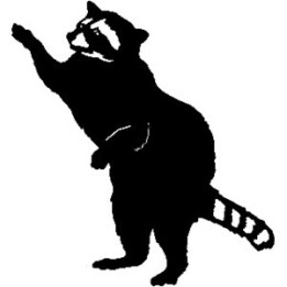 Raccoon Coon Vinyl Decal Sticker V27 - DecalsHouse