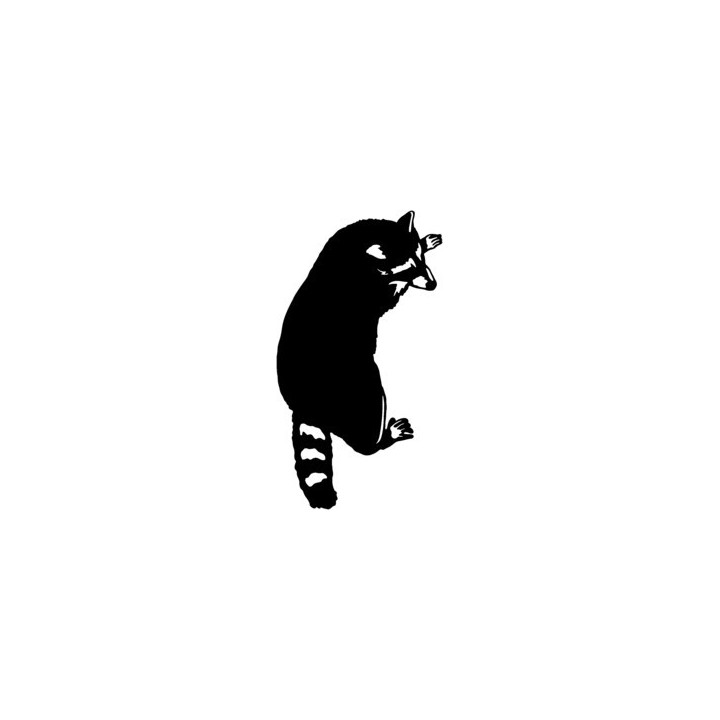 Raccoon Coon Vinyl Decal Sticker V31 - DecalsHouse