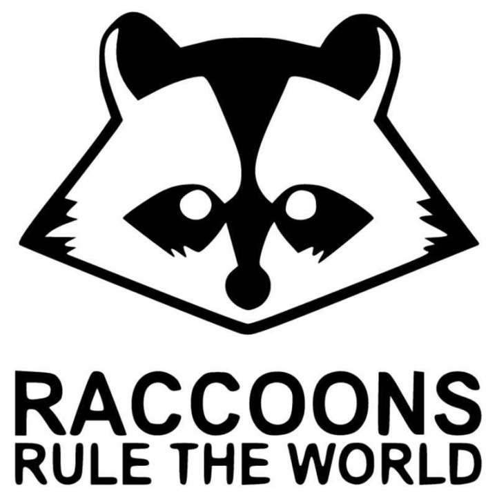 Raccoon Coon Vinyl Decal Sticker V37 - DecalsHouse