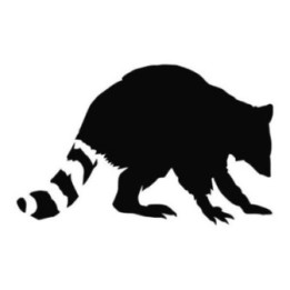Raccoon Coon Vinyl Decal Sticker V39 - DecalsHouse
