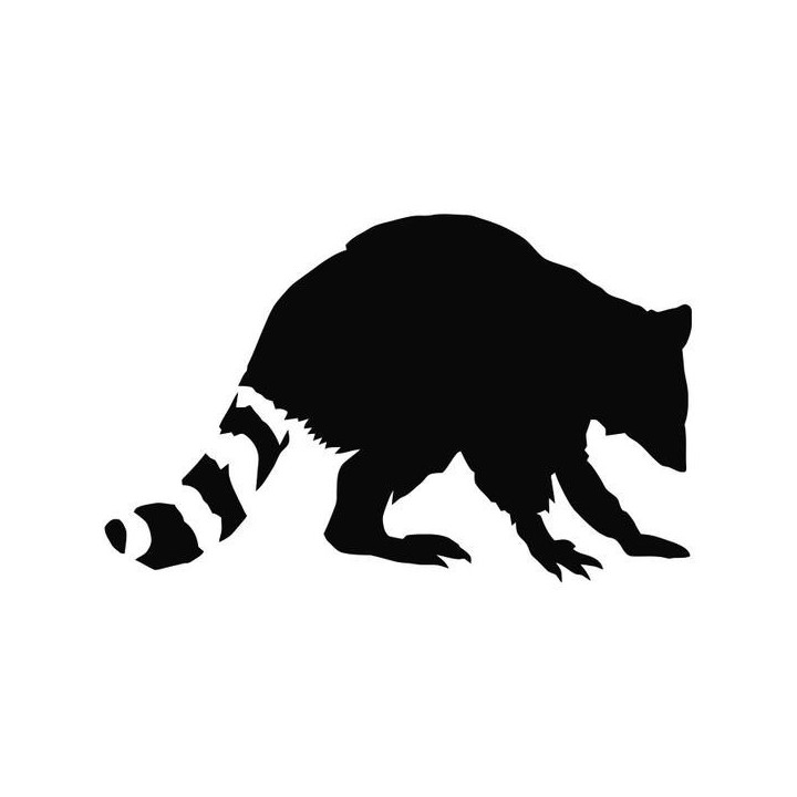 Raccoon Coon Vinyl Decal Sticker V39 - DecalsHouse