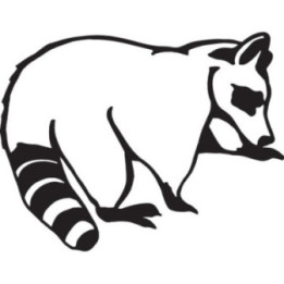 Raccoon Coon Vinyl Decal Sticker V43 - DecalsHouse