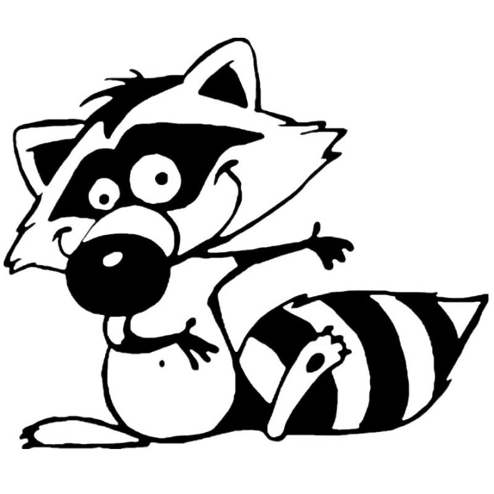 Raccoon Coon Vinyl Decal Sticker V46 - DecalsHouse