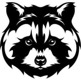 Raccoon Coon Vinyl Decal Sticker V47 - DecalsHouse