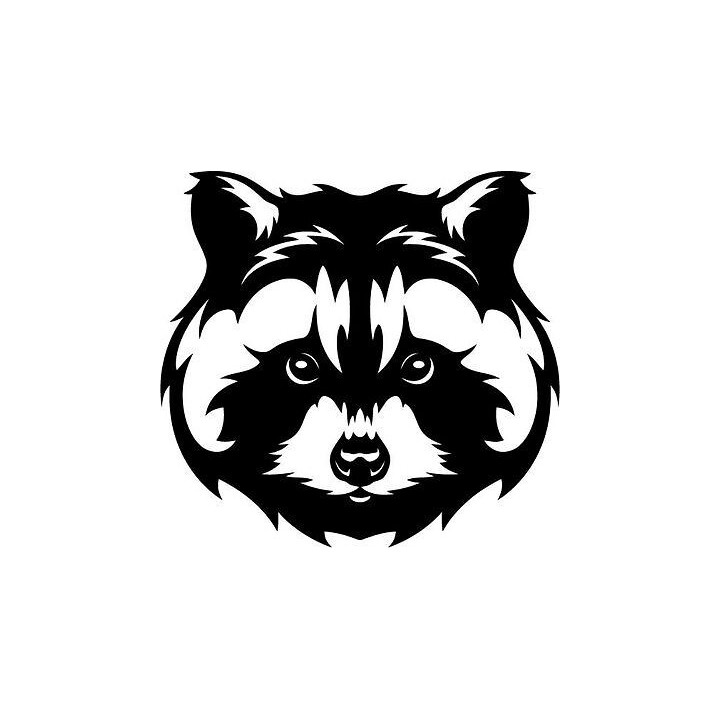 Raccoon Coon Vinyl Decal Sticker V47 - DecalsHouse