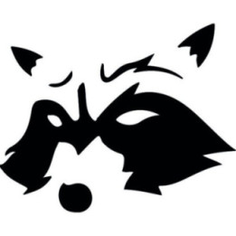 Raccoon Coon Vinyl Decal Sticker V49 - DecalsHouse