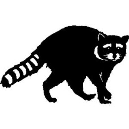 Raccoon Coon Vinyl Decal Sticker V5 - DecalsHouse