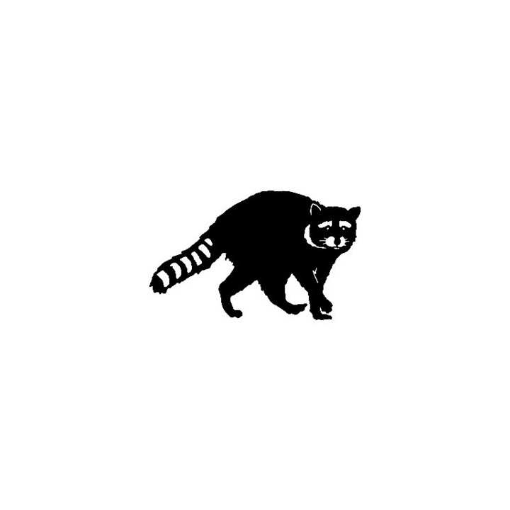 Raccoon Coon Vinyl Decal Sticker V5 - DecalsHouse