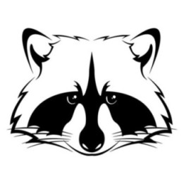 Raccoon Coon Vinyl Decal Sticker V50 - DecalsHouse