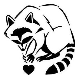 Raccoon Coon Vinyl Decal Sticker V52 - DecalsHouse