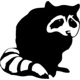 Raccoon Coon Vinyl Decal Sticker V55 - DecalsHouse