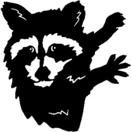 Raccoon Coon Vinyl Decal Sticker V6 - DecalsHouse