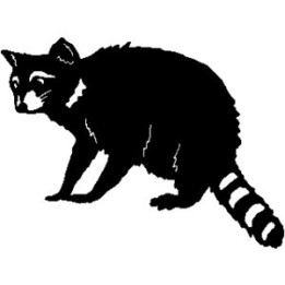 Raccoon Coon Vinyl Decal Sticker V7 - DecalsHouse