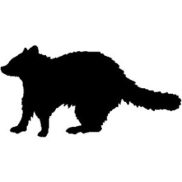 Raccoon Coon Vinyl Decal Sticker V8 - DecalsHouse