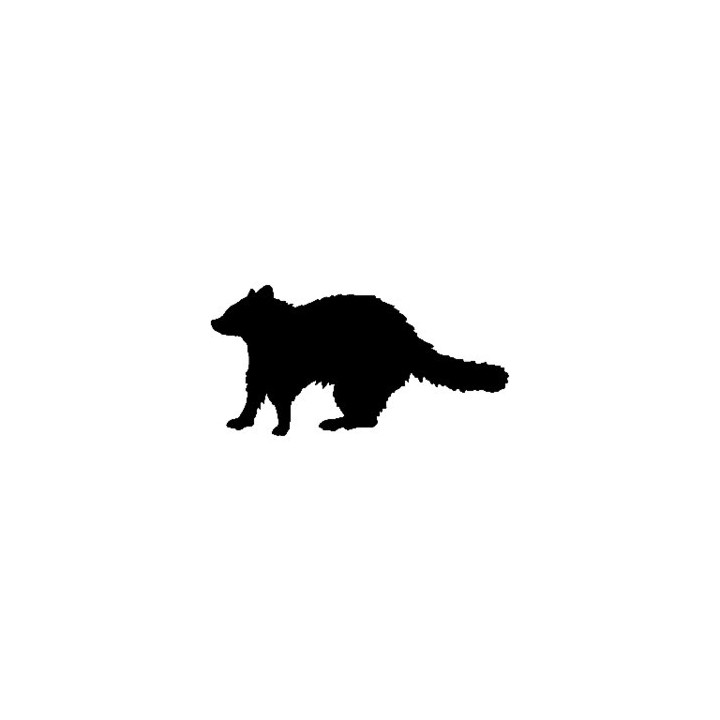 Raccoon Coon Vinyl Decal Sticker V8 - DecalsHouse