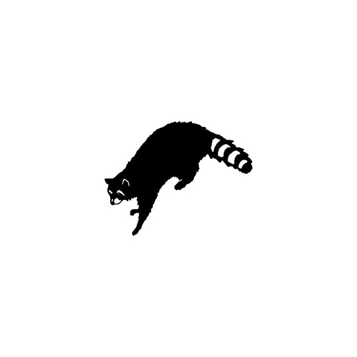 Raccoon Coon Vinyl Decal Sticker V9 - DecalsHouse