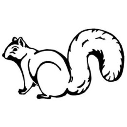 Squirrel Vinyl Decal Sticker V10 - DecalsHouse