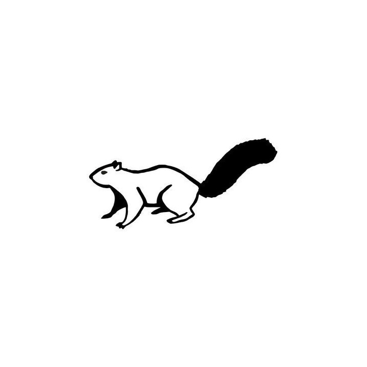 Squirrel Vinyl Decal Sticker V11 - DecalsHouse