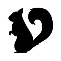 Squirrel Vinyl Decal Sticker V12 - DecalsHouse