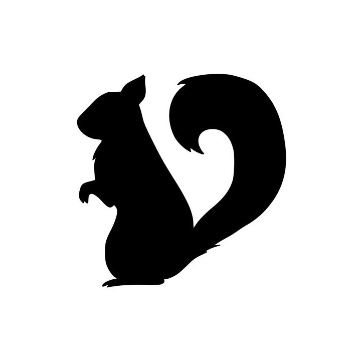 Squirrel Vinyl Decal Sticker V12 - DecalsHouse