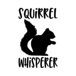 Squirrel Vinyl Decal Sticker V13 - DecalsHouse
