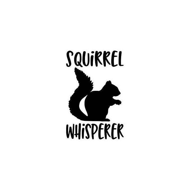 Squirrel Vinyl Decal Sticker V13 - DecalsHouse