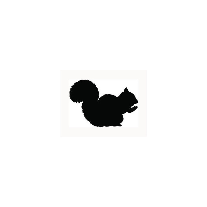 Squirrel Vinyl Decal Sticker V15 - DecalsHouse