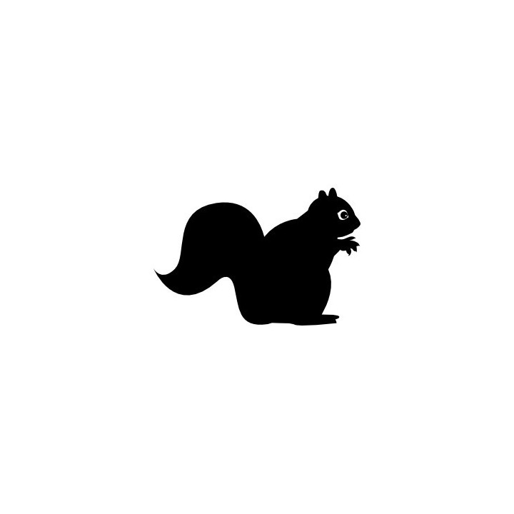 Squirrel Vinyl Decal Sticker V16 - DecalsHouse