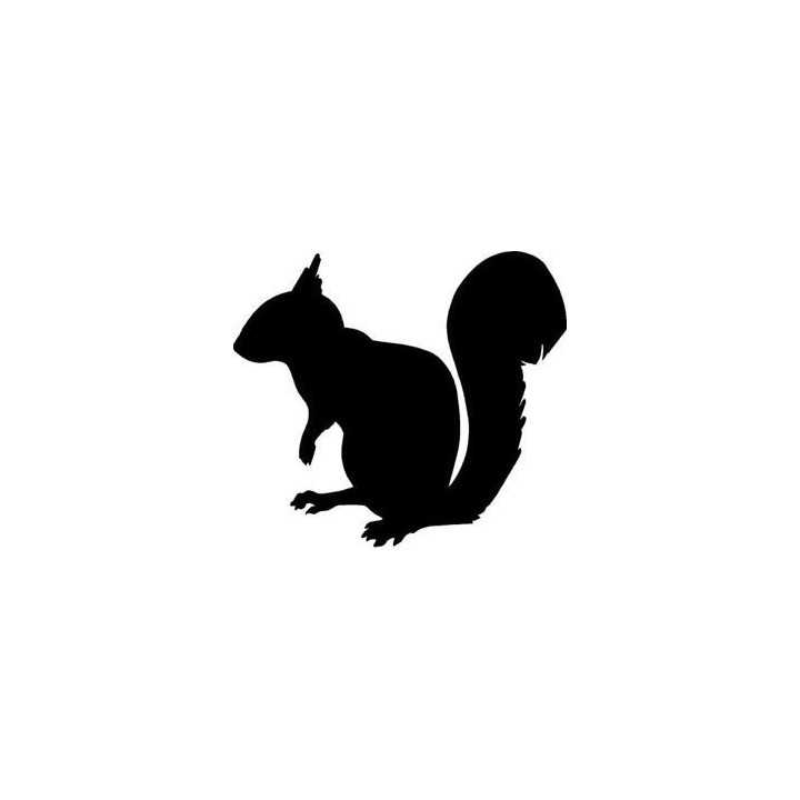 Squirrel Vinyl Decal Sticker V17 - DecalsHouse