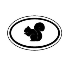 Squirrel Vinyl Decal Sticker V19 - DecalsHouse