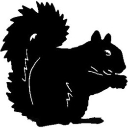Squirrel Vinyl Decal Sticker V2 - DecalsHouse