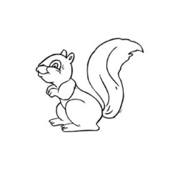 Squirrel Vinyl Decal Sticker V23 - DecalsHouse