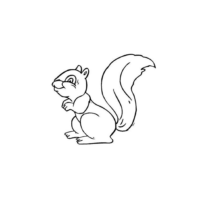 Squirrel Vinyl Decal Sticker V23 - DecalsHouse
