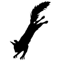 Squirrel Vinyl Decal Sticker V25 - DecalsHouse