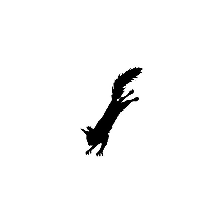Squirrel Vinyl Decal Sticker V25 - DecalsHouse