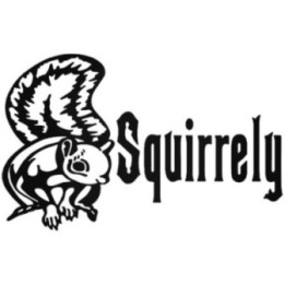 Squirrel Vinyl Decal Sticker V28 - DecalsHouse