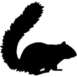 Squirrel Vinyl Decal Sticker V3 - DecalsHouse