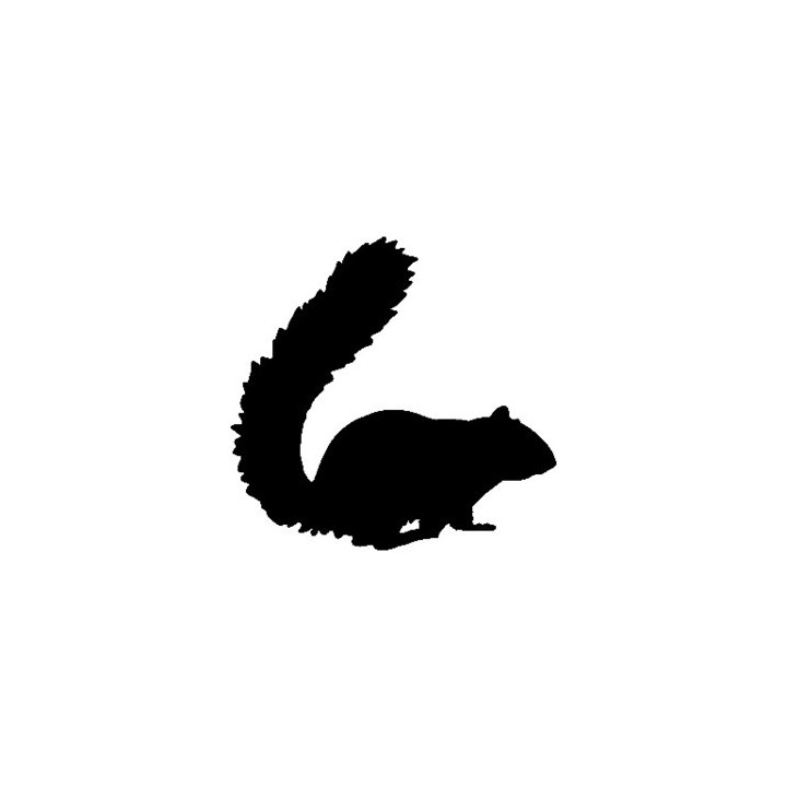 Squirrel Vinyl Decal Sticker V3 - DecalsHouse