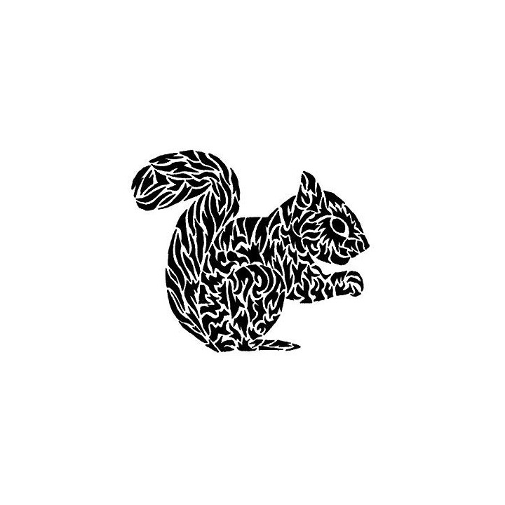 Squirrel Vinyl Decal Sticker V30 - DecalsHouse