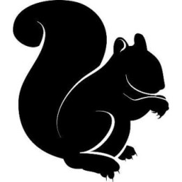 Squirrel Vinyl Decal Sticker V31 - DecalsHouse