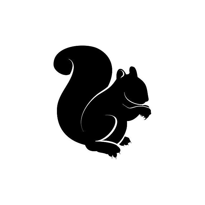 Squirrel Vinyl Decal Sticker V31 - DecalsHouse