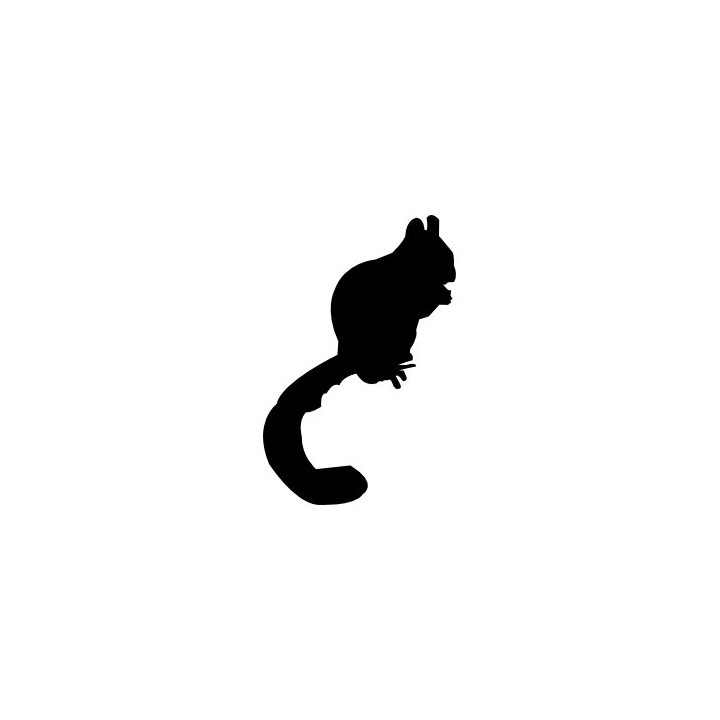 Squirrel Vinyl Decal Sticker V35 - DecalsHouse